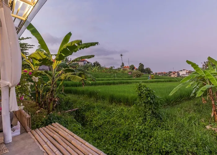 La Tenda * Canggu